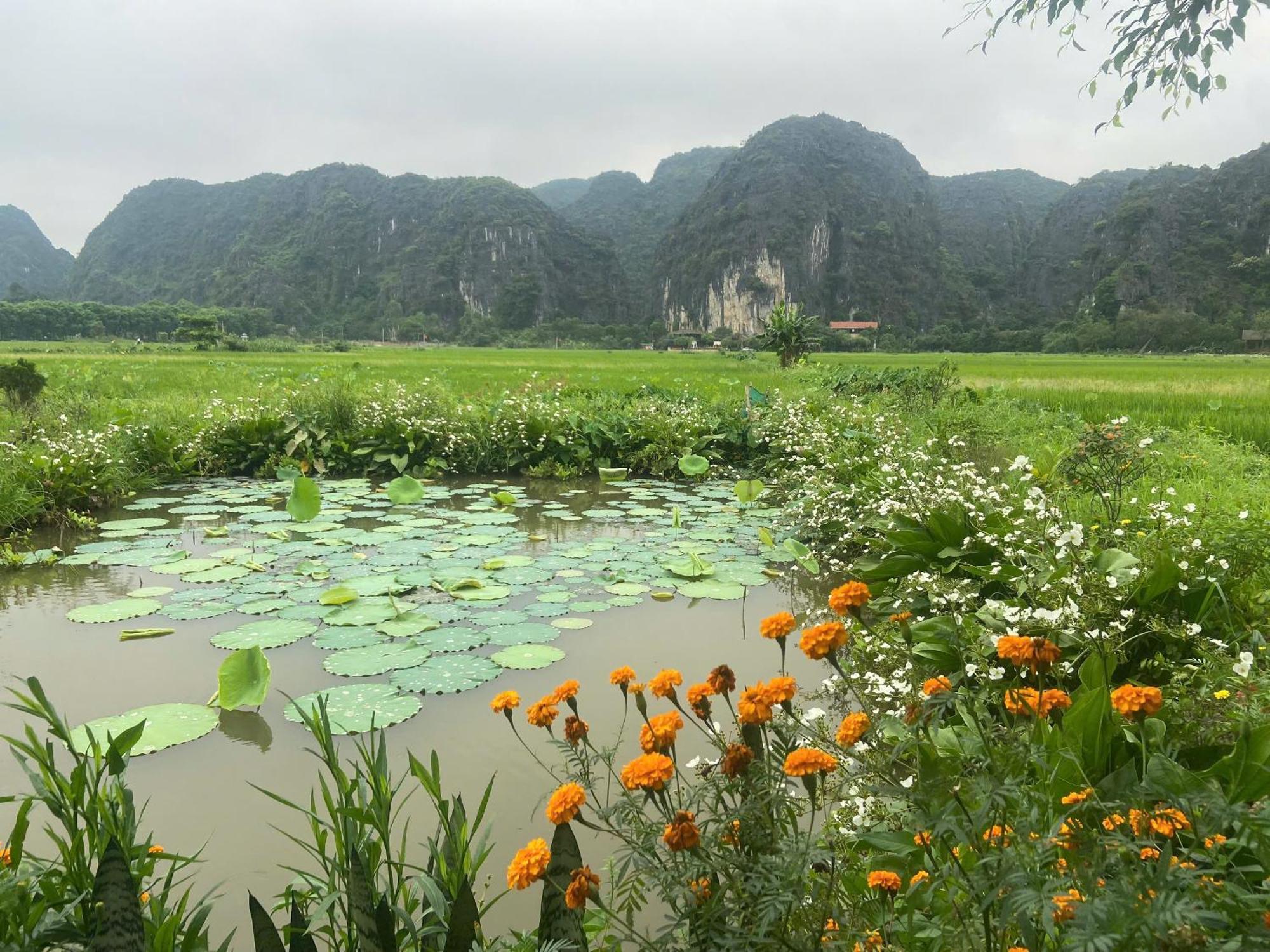 Tam Coc Mountain View Homestay Ninh Binh Exterior photo